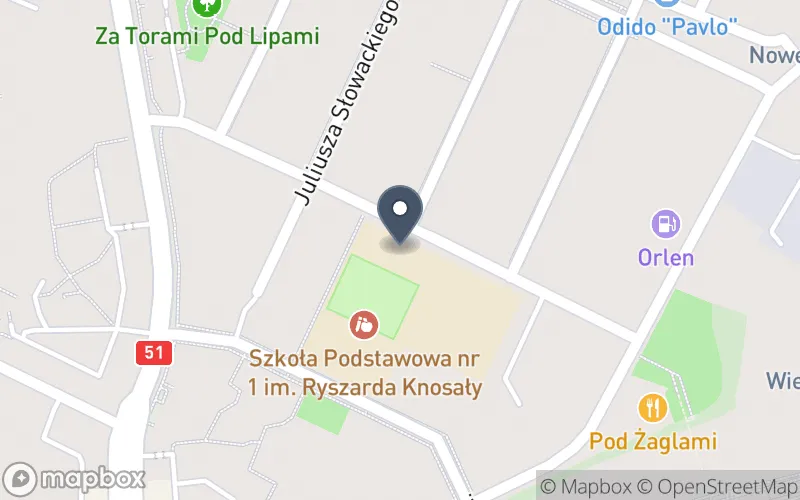 Lokalizacja: Zespół Szkół Ekonomiczno-Handlowych im. Polaków Spod Znaku Rodła w Olsztynie