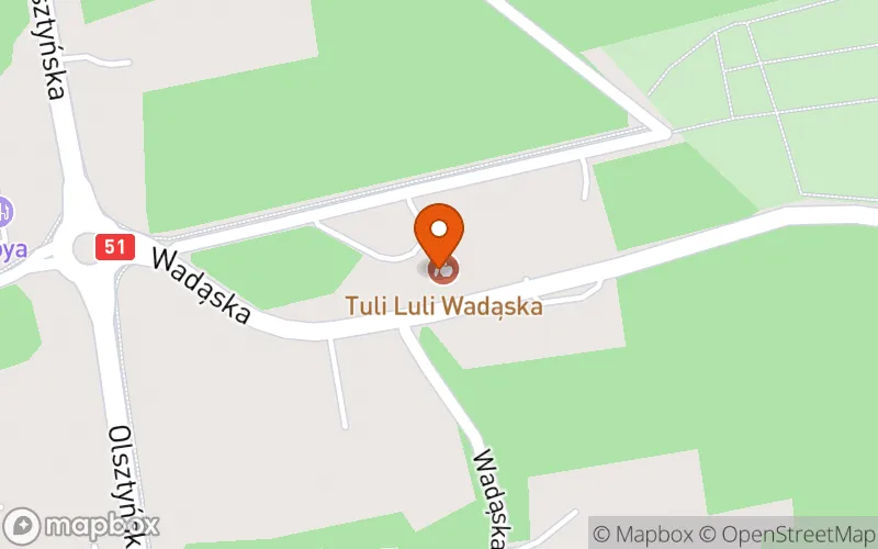 Lokalizacja: Dom Rozwoju Malucha Tuli Luli Wadąska