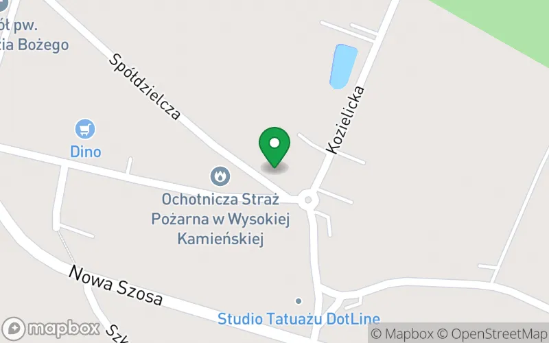 Lokalizacja: Niepubliczne Przedszkole "Słoneczko" Towarzystwa Przyjaciół Dzieci w Wysokiej Kamieńskiej