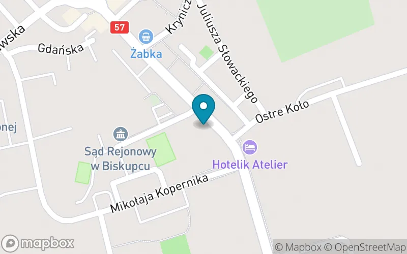 Lokalizacja: Szkoła Podstawowa nr 2 im. Mjr. Henryka Dobrzańskiego Pseud. "Hubal" w Biskupcu