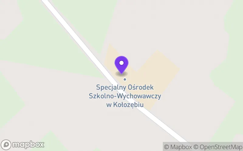 Lokalizacja: Branżowa Szkoła I Stopnia Specjalna w Specjalnym Ośrodku Szkolno - Wychowawczym w Kołozębiu