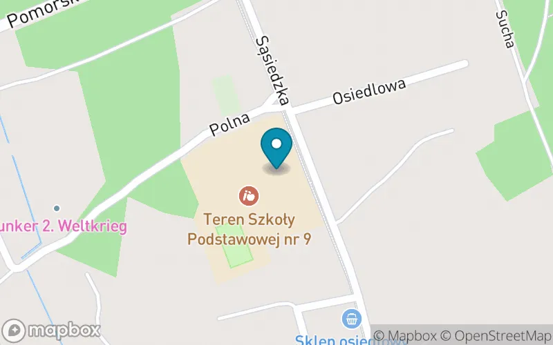 Lokalizacja: Szkoła Podstawowa nr 9 im. Jana Pawła II