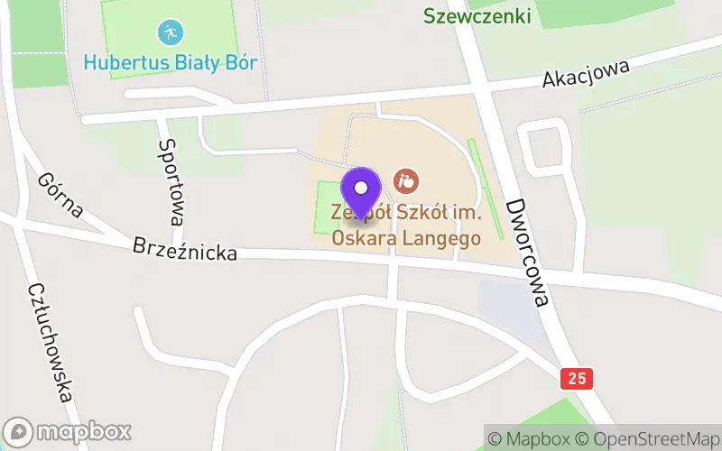 Lokalizacja: II Liceum Ogólnokształcące w Zespole Szkół nr 7 w Białym Borze