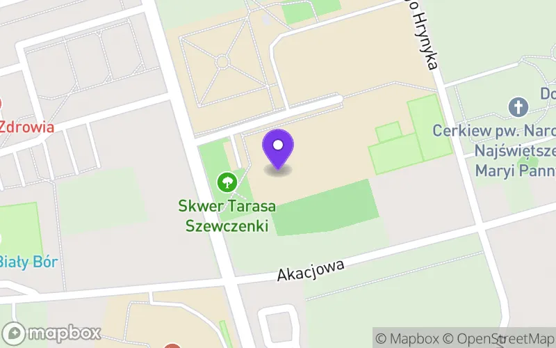 Lokalizacja: I Liceum Ogólnokształcące im. Tarasa Szewczenki w Białym Borze