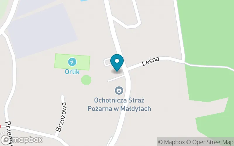 Lokalizacja: Szkoła Podstawowa im. Mikołaja Kopernika w Małdytach
