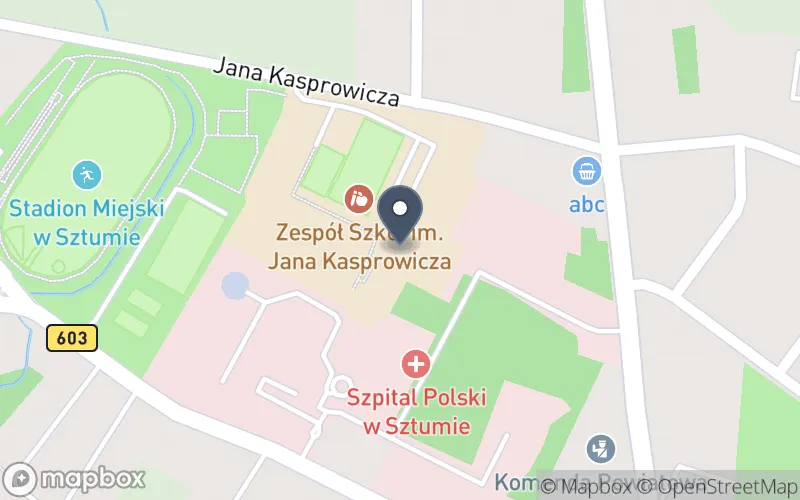 Lokalizacja: Zespół Szkół im. Jana Kasprowicza w Sztumie