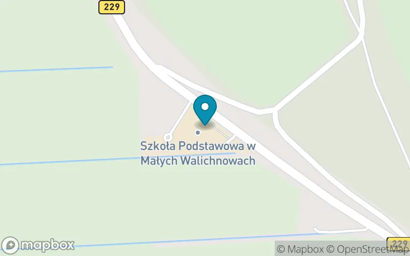 Lokalizacja: Szkoła Podstawowa w Małych Walichnowach
