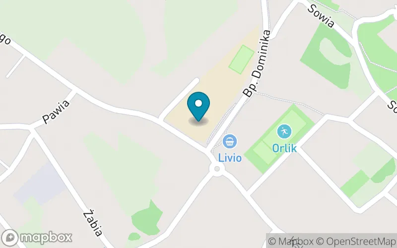 Lokalizacja: Publiczna Szkoła Podstawowa nr 6 im. Jana Pawła II