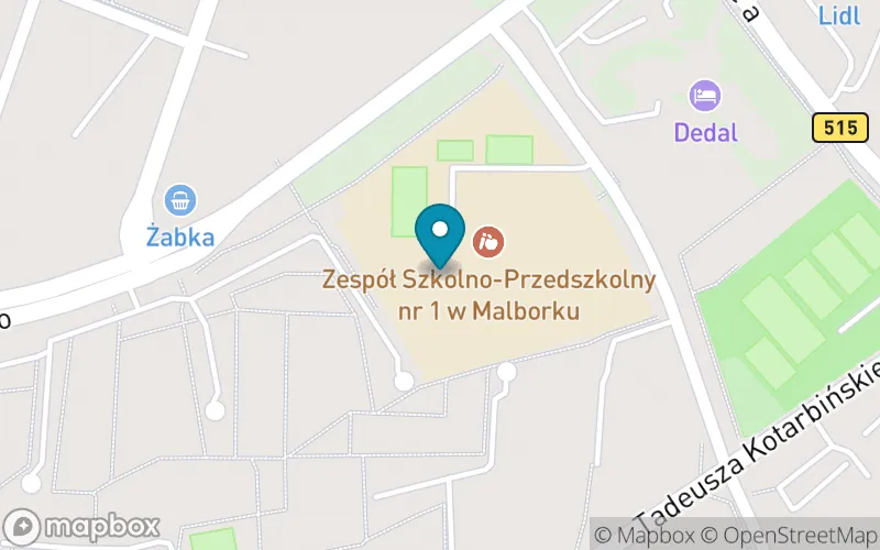Lokalizacja: Szkoła Podstawowa nr 5 z Oddziałami Integracyjnymi im. UNICEF w Malborku