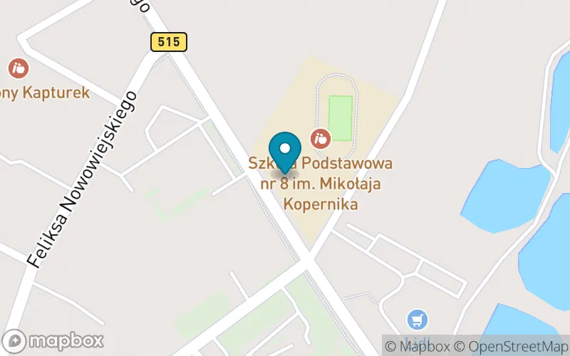 Lokalizacja: Szkoła Podstawowa nr 8 im. Mikołaja Kopernika w Malborku