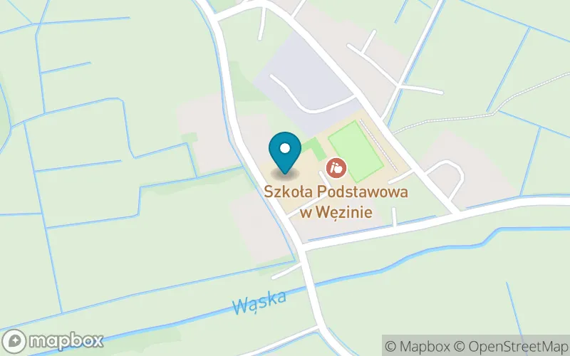 Lokalizacja: Publiczna Szkoła Podstawowa w Węzinie