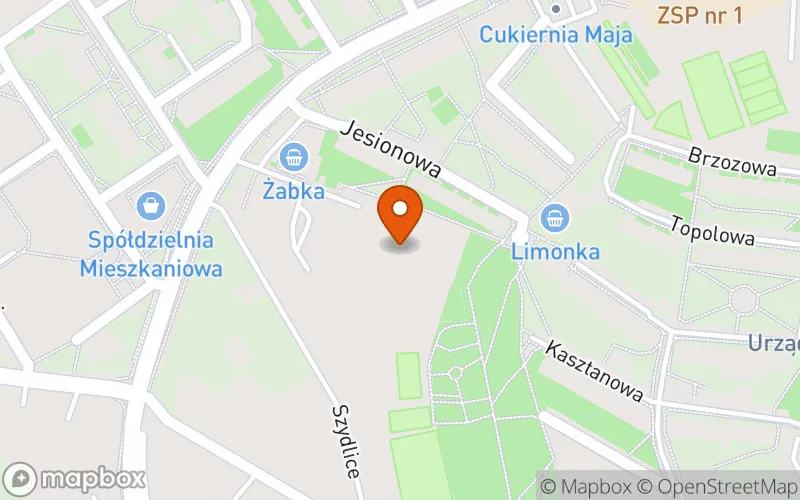 Lokalizacja: Przedszkole & Żłobek w Parku