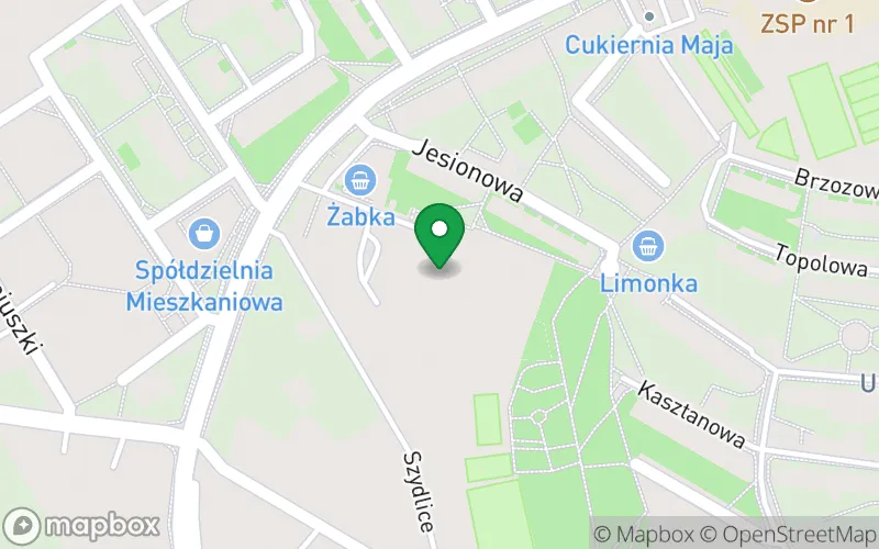 Lokalizacja: Przedszkole w Parku