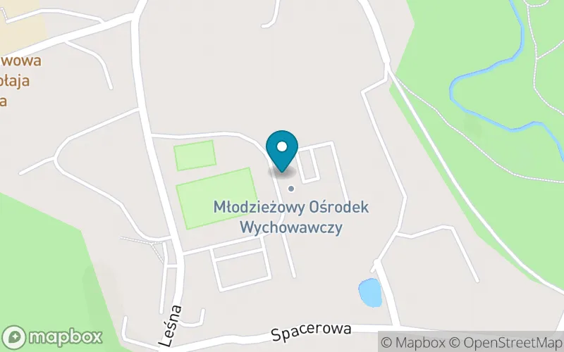 Lokalizacja: Szkoła Podstawowa Specjalna nr 5 w Młodzieżowym Ośrodku Wychowawczym w Lidzbarku Warmińskim