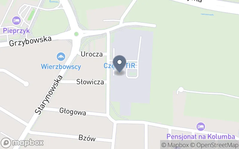 Lokalizacja: Instytut Edukacji Komputerowej Alicja Bąk