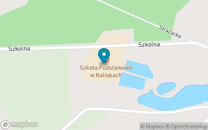 Lokalizacja: Szkoła Podstawowa w Kaliskach