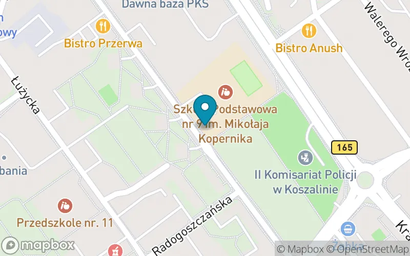 Lokalizacja: Szkoła Podstawowa nr 9 im. Mikołaja Kopernika w Koszalinie