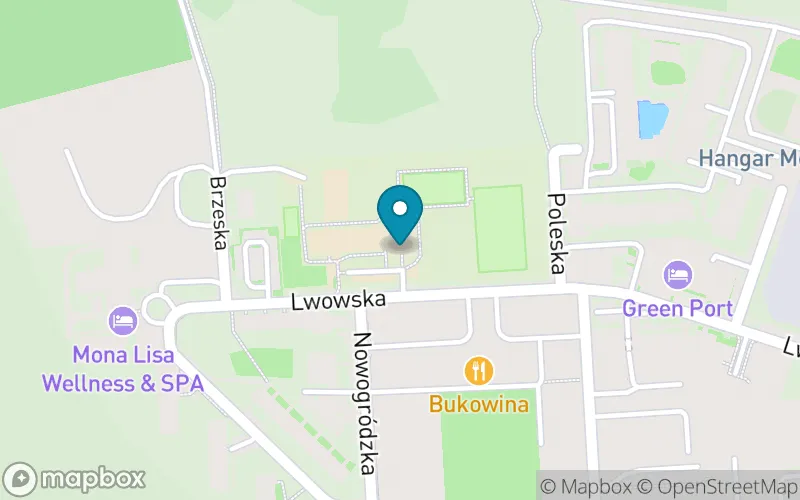 Lokalizacja: Szkoła Podstawowa nr 9