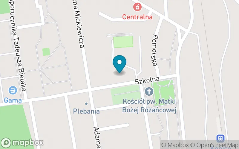 Lokalizacja: Szkoła Podstawowa im. Ppor. Tadeusza Bielaka w Kępicach