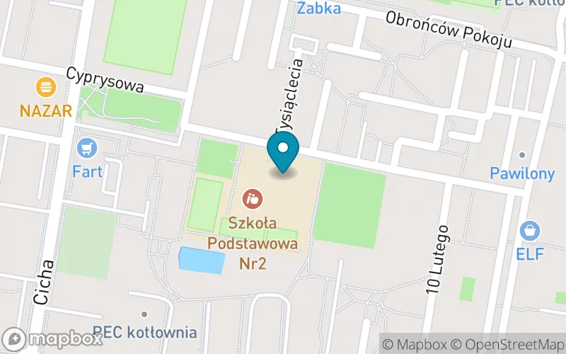 Lokalizacja: Szkoła Podstawowa nr 2 im. Mikołaja Kopernika w Pruszczu Gdańskim