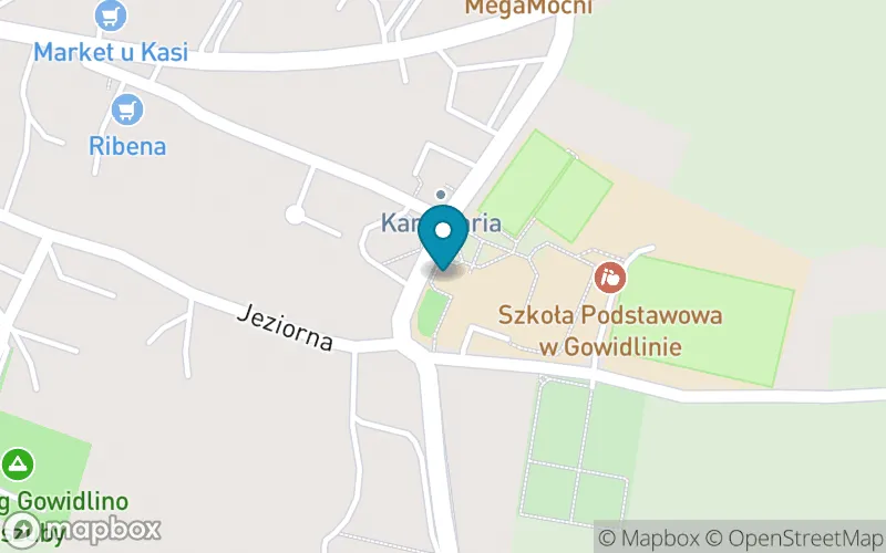 Lokalizacja: Szkoła Podstawowa im. Jana Pawła II w Gowidlinie