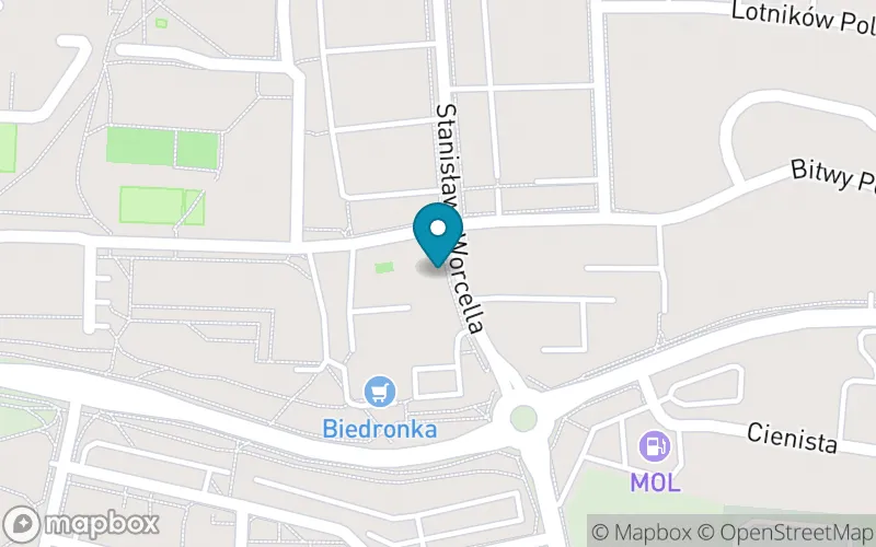 Lokalizacja: Niepubliczna Polsko-Brytyjska Szkoła Podstawowa nr 1
