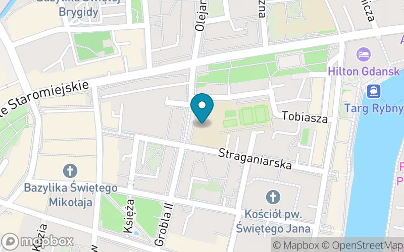 Lokalizacja: Szkoła Podstawowa nr 50 im. E. Plater w Gdańsku