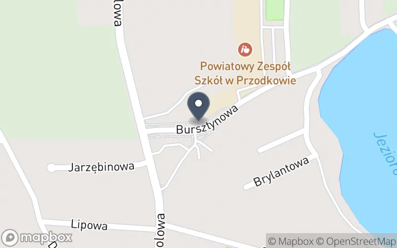 Lokalizacja: Powiatowy Zespół Szkół w Przodkowie