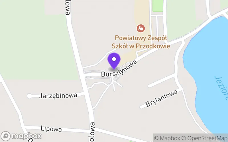 Lokalizacja: Technikum im. Rotmistrza Witolda Pileckiego w Przodkowie