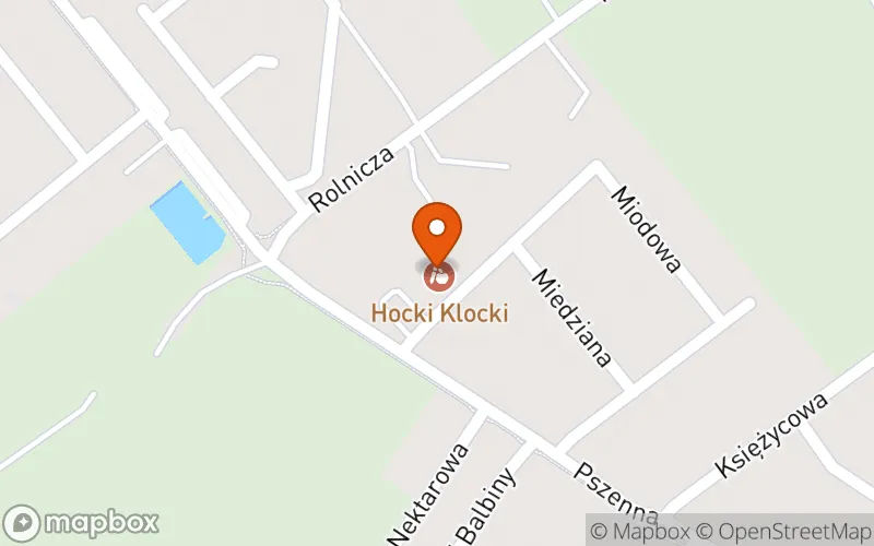 Lokalizacja: Żłobek Hocki Klocki
