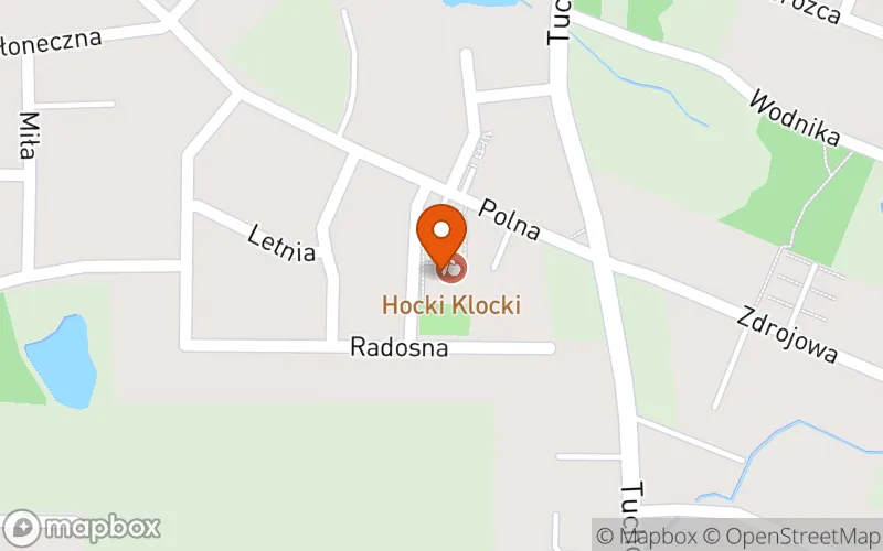 Lokalizacja: Klub Malucha Hocki Klocki Polna