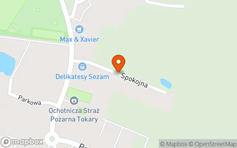 Lokalizacja: Klub Dziecięcy Przystanek Przygoda Tokary