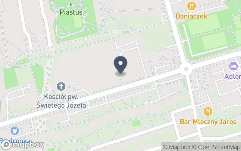 Lokalizacja: Zespół Niepublicznych Placówek Oświatowych w Polskim Stowarzyszeniu na Rzecz Osób z Niepełnosprawnością Intelektualną koło w Gdańsku