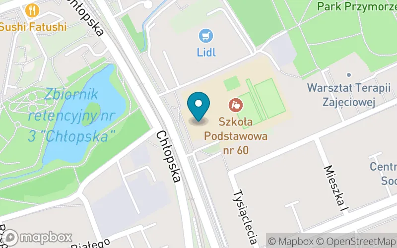 Lokalizacja: Szkoła Podstawowa nr 60 w Gdańsku