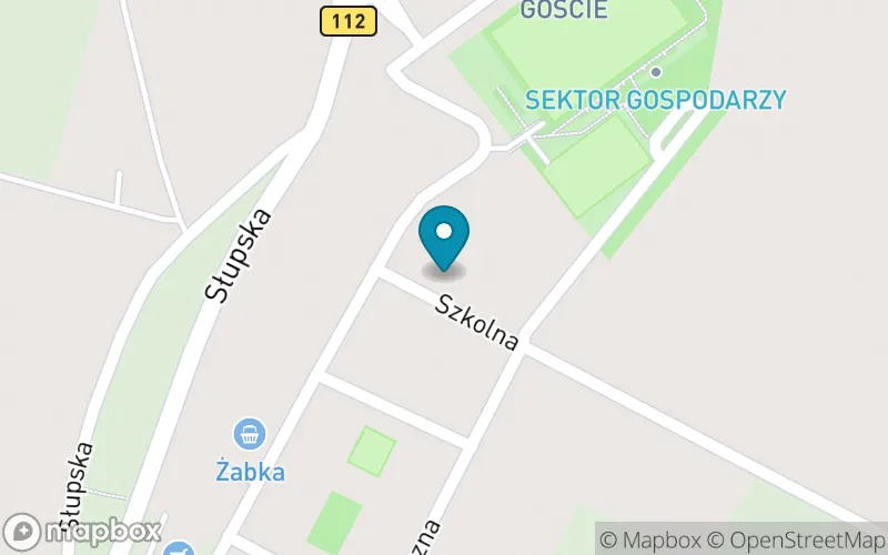 Lokalizacja: Szkoła Podstawowa im. Polskich Noblistów w Sycewicach