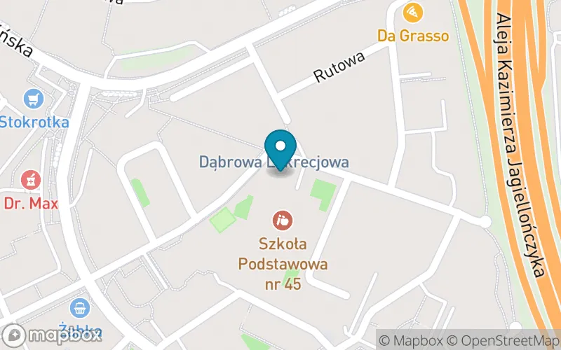 Lokalizacja: Szkoła Podstawowa nr 45