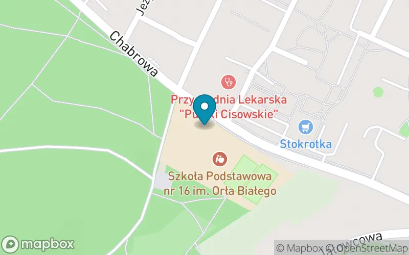 Lokalizacja: Szkoła Podstawowa nr 16 im. Orła Białego