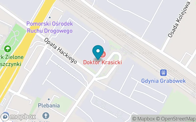 Lokalizacja: Niepubliczna Szkoła Podstawowa Specjalna ,,Ja Sam''