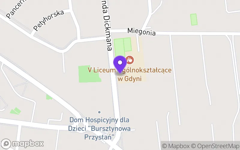 Lokalizacja: V Liceum Ogólnokształcące im. Płk. Stanisława Dąbka