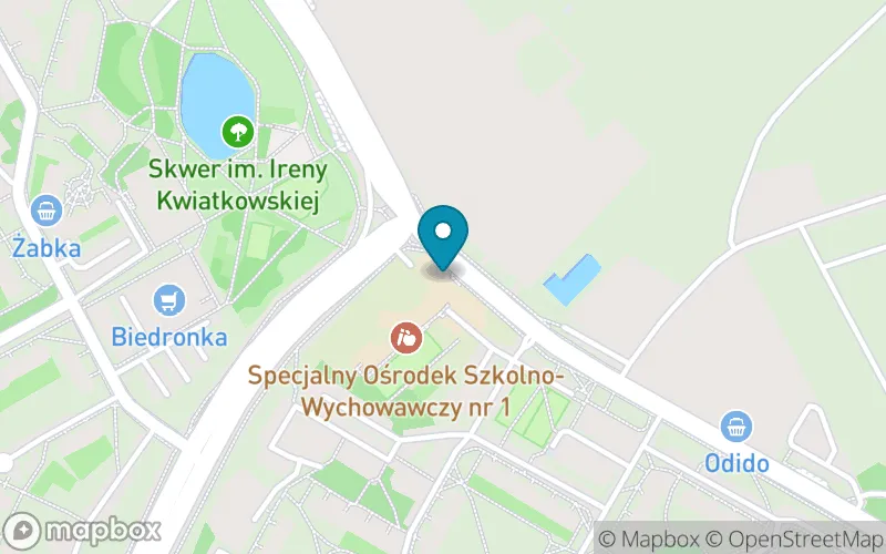 Lokalizacja: Szkoła Podstawowa Specjalna nr 50