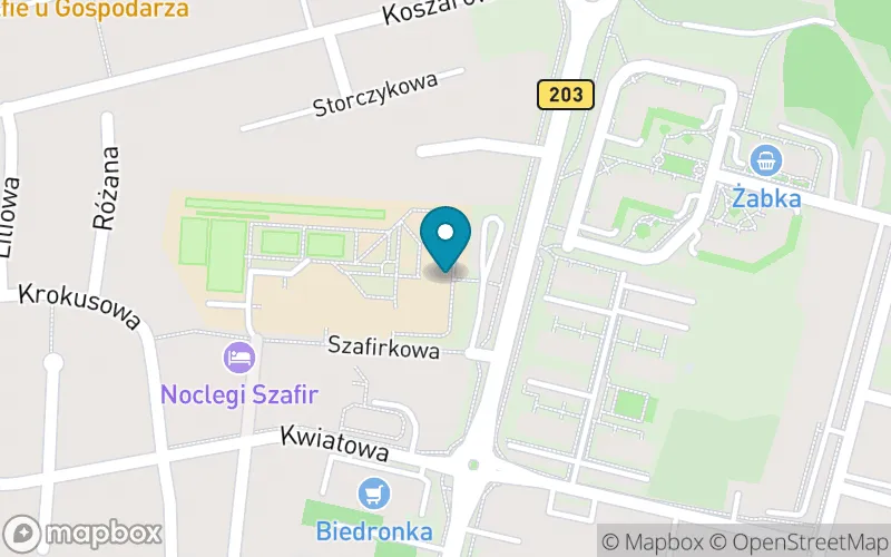 Lokalizacja: Szkoła Podstawowa nr 1 im. Kapitana Leonida Teligi