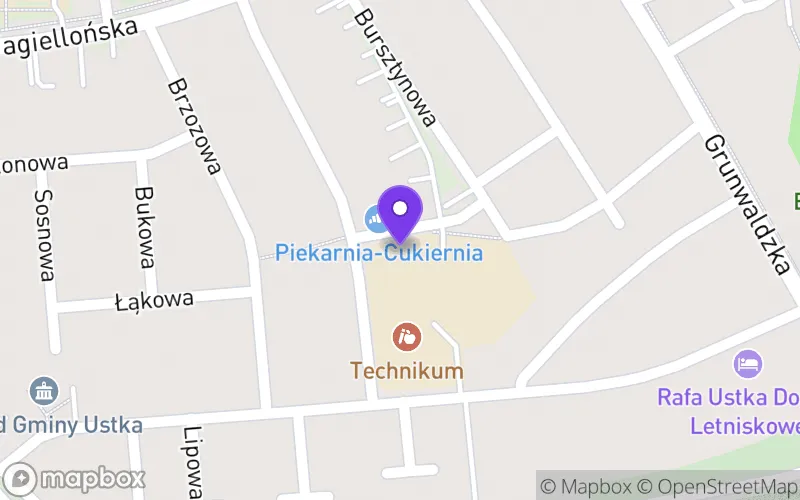 Lokalizacja: Zespół Szkół Ogólnokształcących i Technicznych w Ustce - Liceum Ogólnokształcące im. Mikołaja Kopernika
