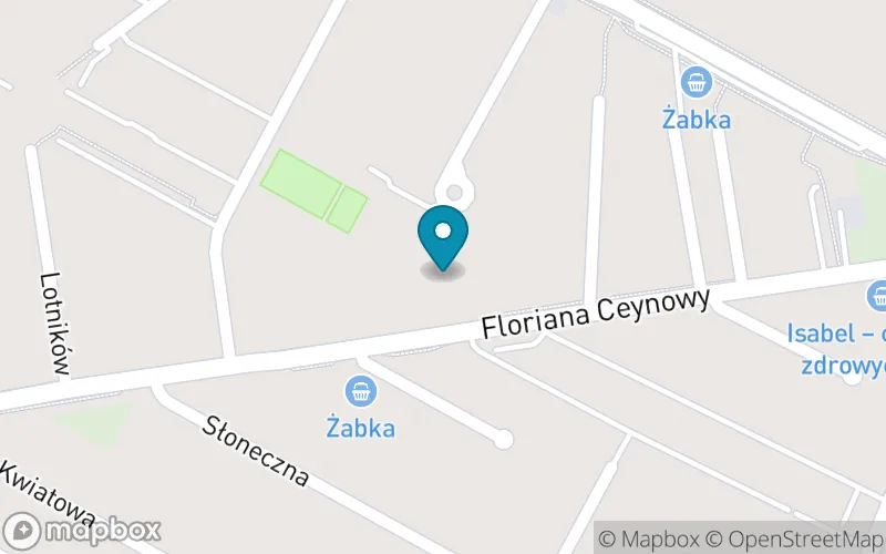 Lokalizacja: Publiczna Szkoła Podstawowa Sióstr Salezjanek im. Świętej Rodziny