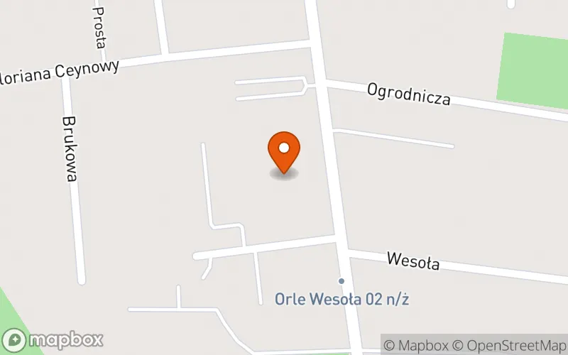 Lokalizacja: Żłobek OmkiSiomki Orle