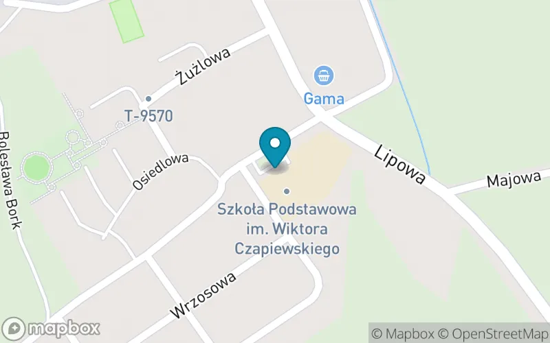 Lokalizacja: Szkoła Podstawowa im. Wiktora Czapiewskiego w Rekowie Górnym