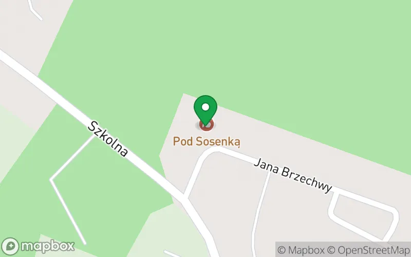 Lokalizacja: Niepubliczne Przedszkole "Pod Sosenką" w Leśniewie