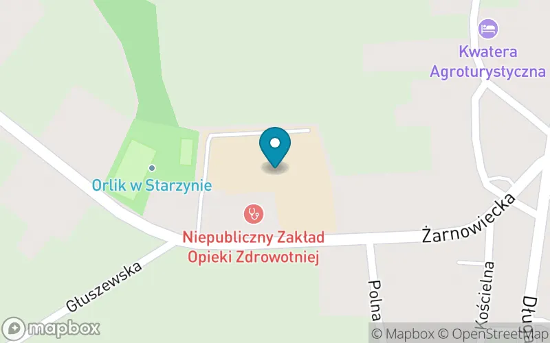 Lokalizacja: Szkoła Podstawowa im. Władysława Konefki w Starzynie