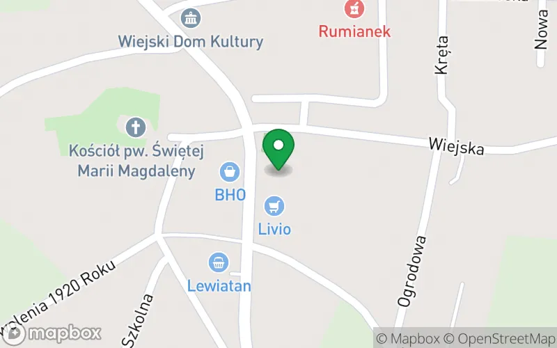 Lokalizacja: Przedszkole Niepubliczne "Kubuś Puchatek" w Strzelnie