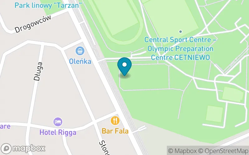 Lokalizacja: Niepubliczna Szkoła Podstawowa Mistrzostwa Sportowego Cetniewo we Władysławowie